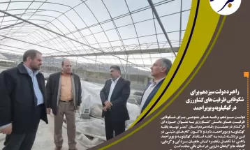 اتصال روستاهای بالای ۲۰ خانوارکهگیلویهوبویراحمدبه اینترنتپرسرعت