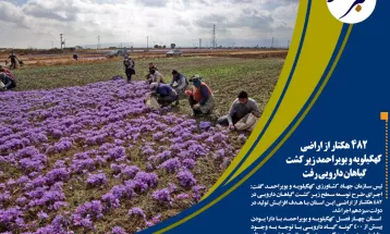 شمارشمعکوس برای افتتاح پلشهیدطیب در موگرکهگیلویه