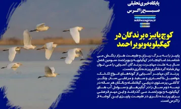 استاد دانشگاه‌یاسوج در میان ۱۰ پژوهشگر برتر ایران