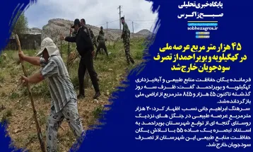 استاد دانشگاه‌یاسوج در میان ۱۰ پژوهشگر برتر ایران