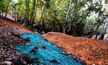 رنگین کمان رنگ‌ها در پاییز تنگ گنجه‌ای بویراحمد