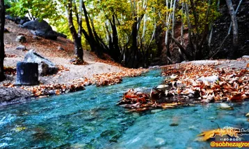 رنگین کمان رنگ‌ها در پاییز تنگ گنجه‌ای بویراحمد