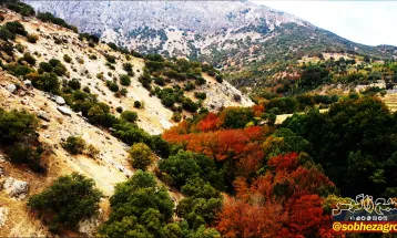 رنگین کمان رنگ‌ها در پاییز تنگ گنجه‌ای بویراحمد