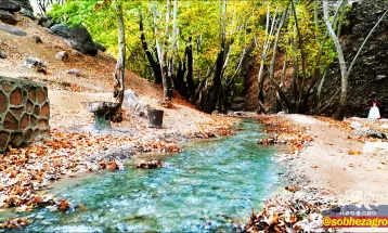 رنگین کمان رنگ‌ها در پاییز تنگ گنجه‌ای بویراحمد