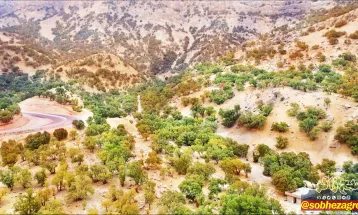 رنگین کمان رنگ‌ها در پاییز تنگ گنجه‌ای بویراحمد