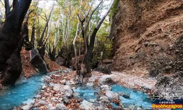 رنگین کمان رنگ‌ها در پاییز تنگ گنجه‌ای بویراحمد