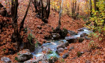 رنگین کمان رنگ‌ها در پاییز تنگ گنجه‌ای بویراحمد