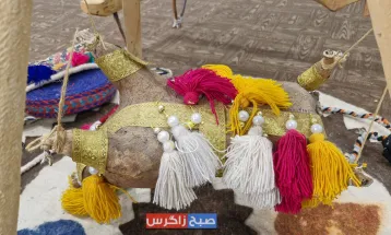 توانمندیهای اقتصادی بانوان باشتی به نمایش درآمد
