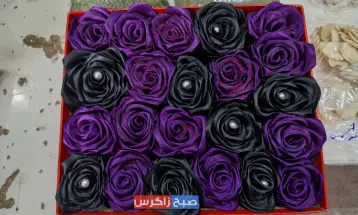 توانمندیهای اقتصادی بانوان باشتی به نمایش درآمد