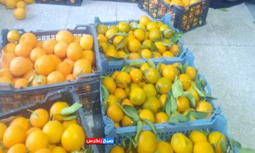 توزیع بستههای معیشتی بین خانوادههای کمبرخوردار