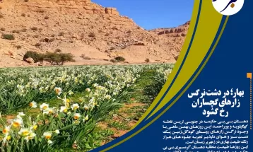 جشن پایان هیزمبهدوشی دخترانزیلاییبویراحمد در ۴۵سالگیانقلاب
