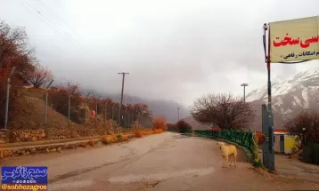 تصاویر لذتبخش بارش باران در سیسخت