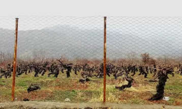 تصاویر لذتبخش بارش باران در سیسخت