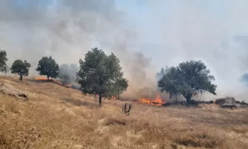 خامی همچنان در آتش میسوزد