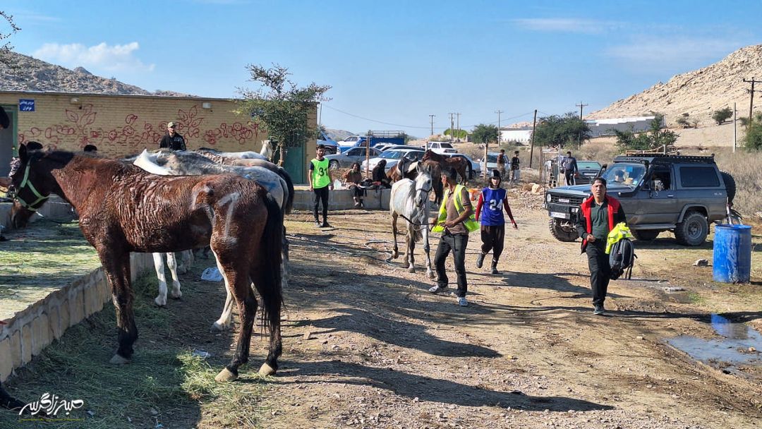 مسابقات سوارکاری استقامت در گچساران