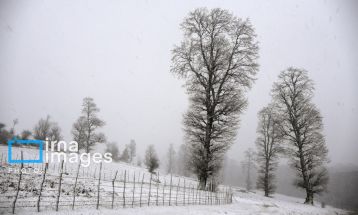 طبیعت برفی جنگلهای رویایی مازندران