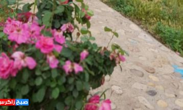 شکوه‌زیبایی در منطقه گردشگری گلگشت باشت