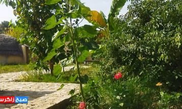 شکوه‌زیبایی در منطقه گردشگری گلگشت باشت