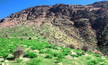 طبیعت بکر «زنگویی» کوهستان دنا