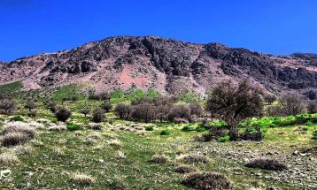 طبیعت بکر «زنگویی» کوهستان دنا