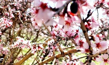 طبیعت بکر «زنگویی» کوهستان دنا