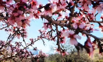 طبیعت بکر «زنگویی» کوهستان دنا