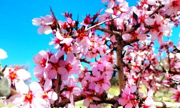 طبیعت بکر «زنگویی» کوهستان دنا