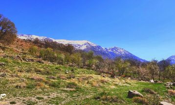 طبیعت بکر «زنگویی» کوهستان دنا