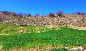 طبیعت بکر «زنگویی» کوهستان دنا