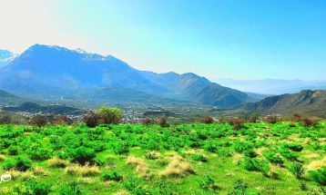 طبیعت بکر «زنگویی» کوهستان دنا