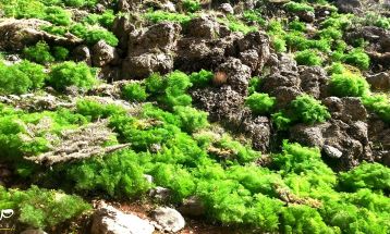 جاذبه هزار رنگ «کوه کپیری» سی‌سخت