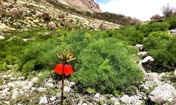جاذبه هزار رنگ «کوه کپیری» سی‌سخت