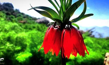 جاذبه هزار رنگ «کوه کپیری» سی‌سخت