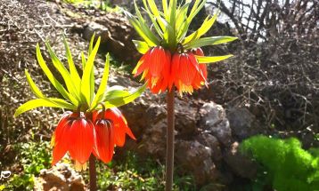 جاذبه هزار رنگ «کوه کپیری» سی‌سخت
