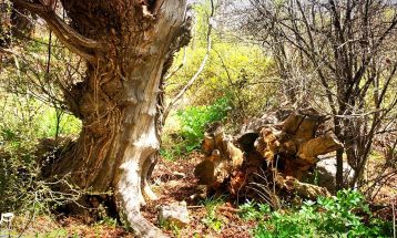 جاذبه هزار رنگ «کوه کپیری» سی‌سخت