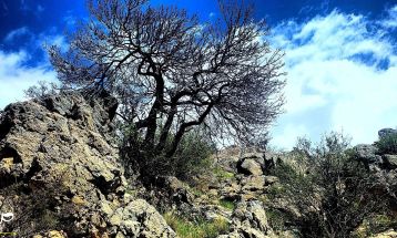 جاذبه هزار رنگ «کوه کپیری» سی‌سخت