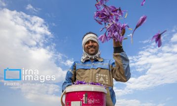 «کارگران»؛ تلاشگران عرصه تولید
