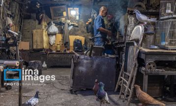 «کارگران»؛ تلاشگران عرصه تولید