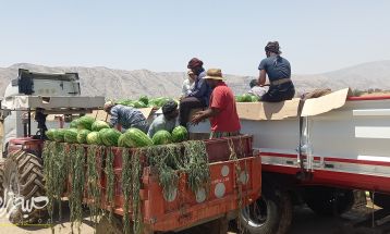 سپاه پای کار کشاورزان باشتی