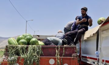 سپاه پای کار کشاورزان باشتی
