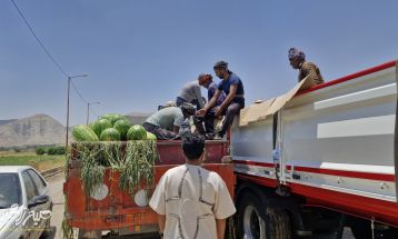 سپاه پای کار کشاورزان باشتی
