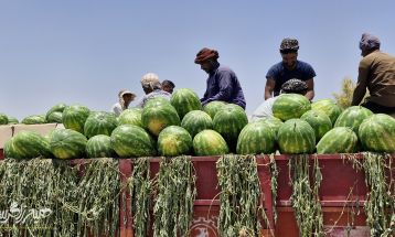 سپاه پای کار کشاورزان باشتی
