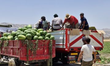 سپاه پای کار کشاورزان باشتی