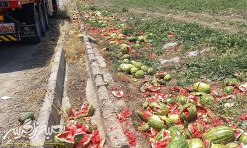 سپاه پای کار کشاورزان باشتی