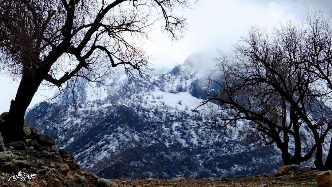تابلوی چشم‌نواز طبیعت در «گناوه» گچساران