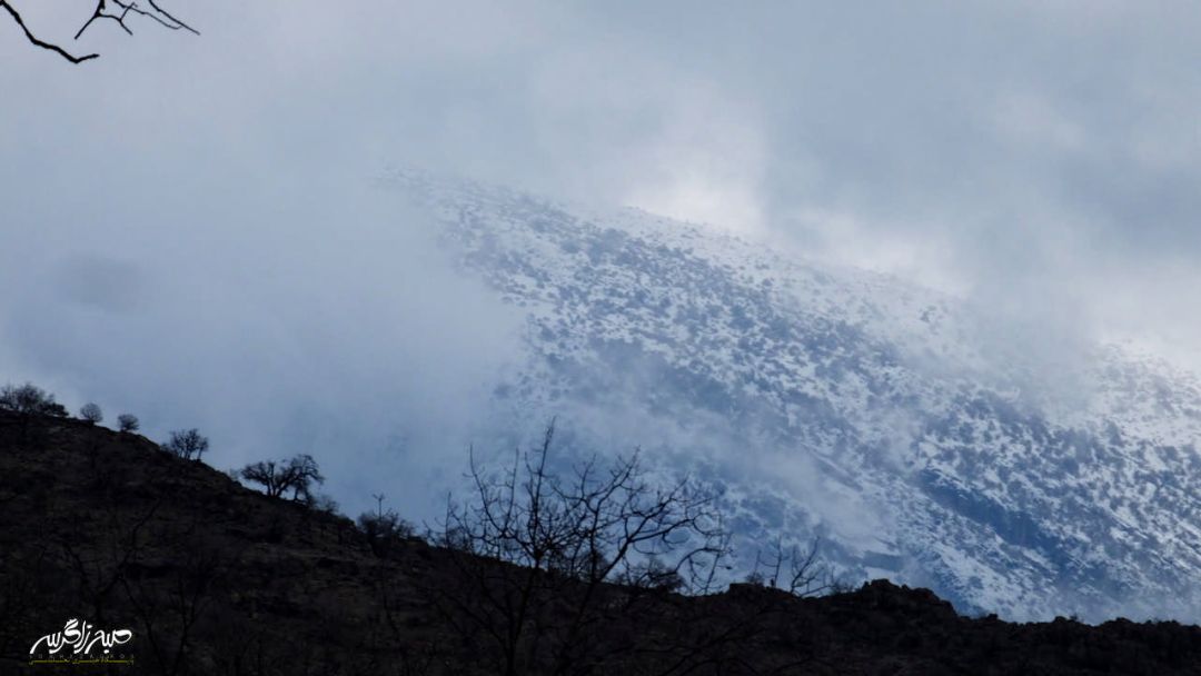 تابلوی چشم‌نواز طبیعت در «گناوه» گچساران