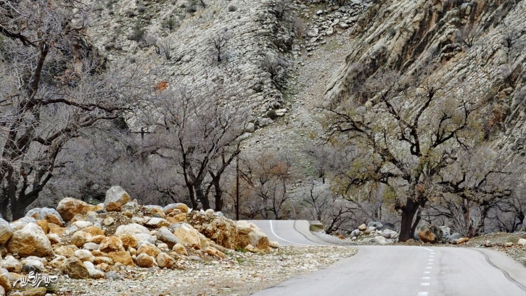 تابلوی چشم‌نواز طبیعت در «گناوه» گچساران