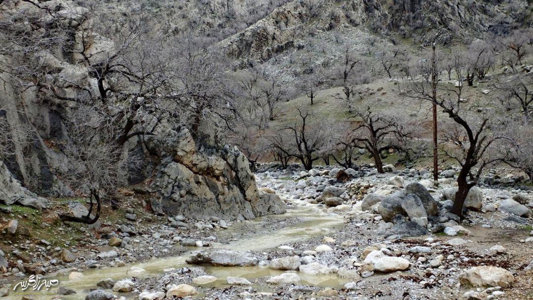 تابلوی چشم‌نواز طبیعت در «گناوه» گچساران