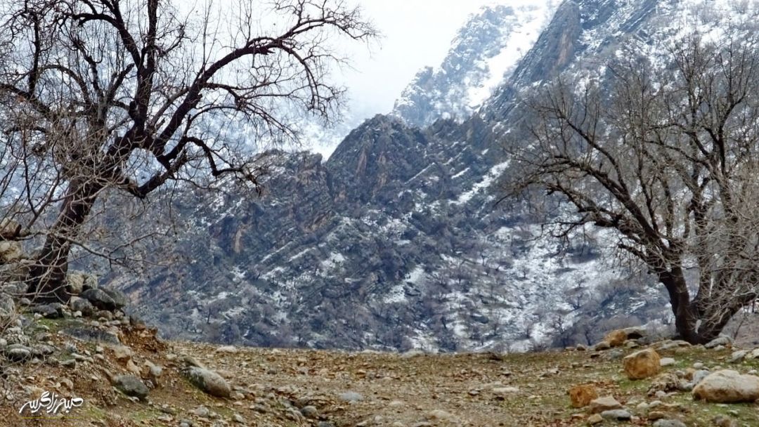 تابلوی چشم‌نواز طبیعت در «گناوه» گچساران