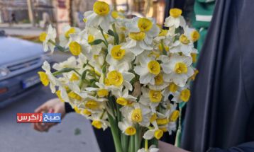آغاز زندگی مشترک زوج جوان باشتی در موکب امامزمان (عج)